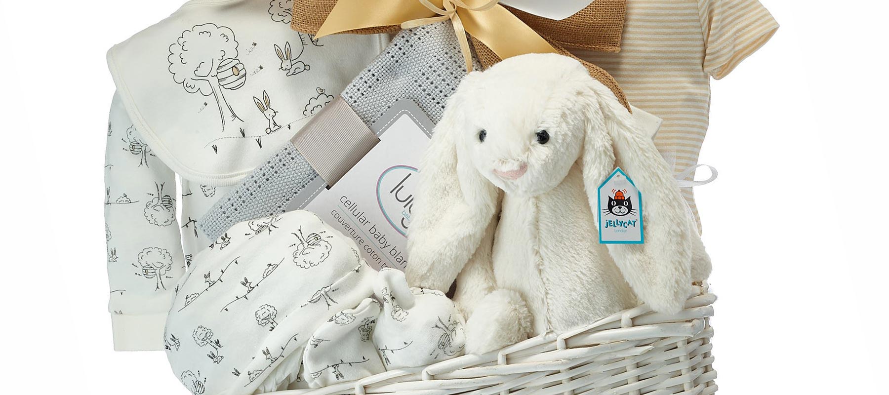 Do Babies Love Bunny or Bear Plushes More?