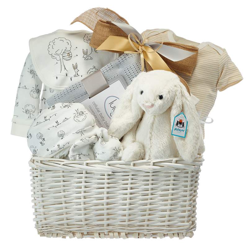 How To Send Baby Gift Baskets Online