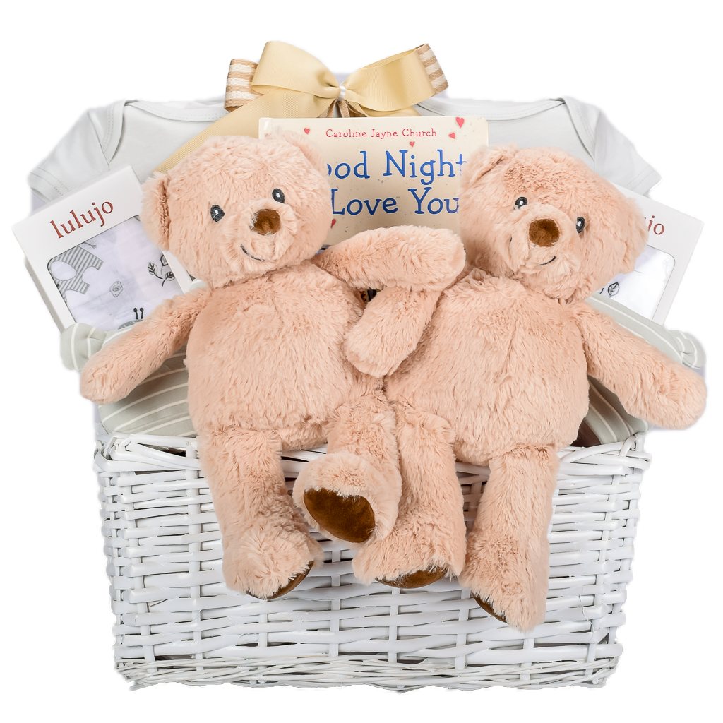 The Best Twin Baby Gift Baskets to Send to Parents welcoming newborn twins