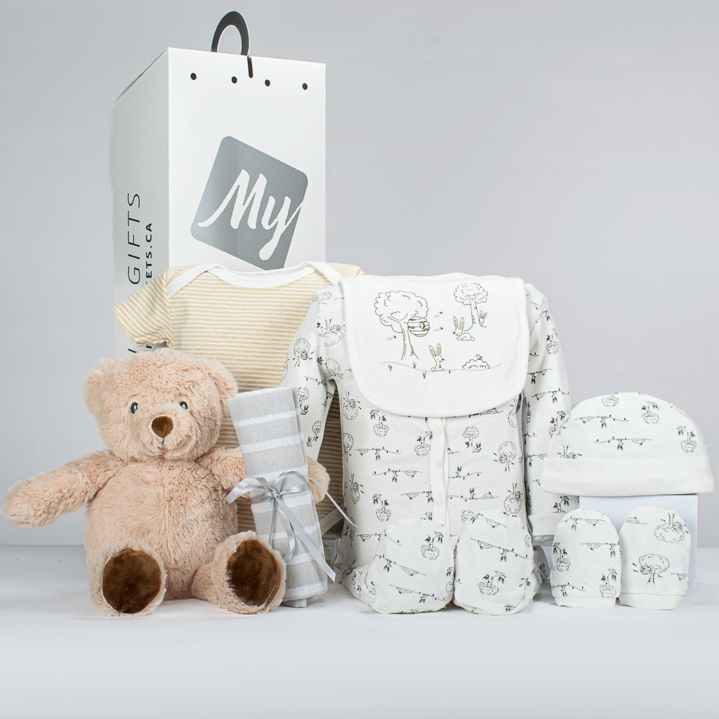 Teddy Bear With 5 Piece In Gift Box
