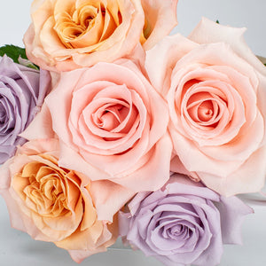 6 Bautifully Assorted Roses 