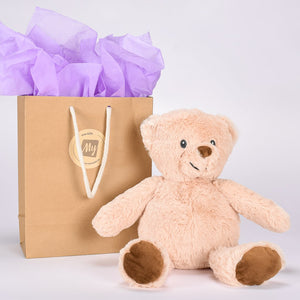 Brown Soft Teddy Plush