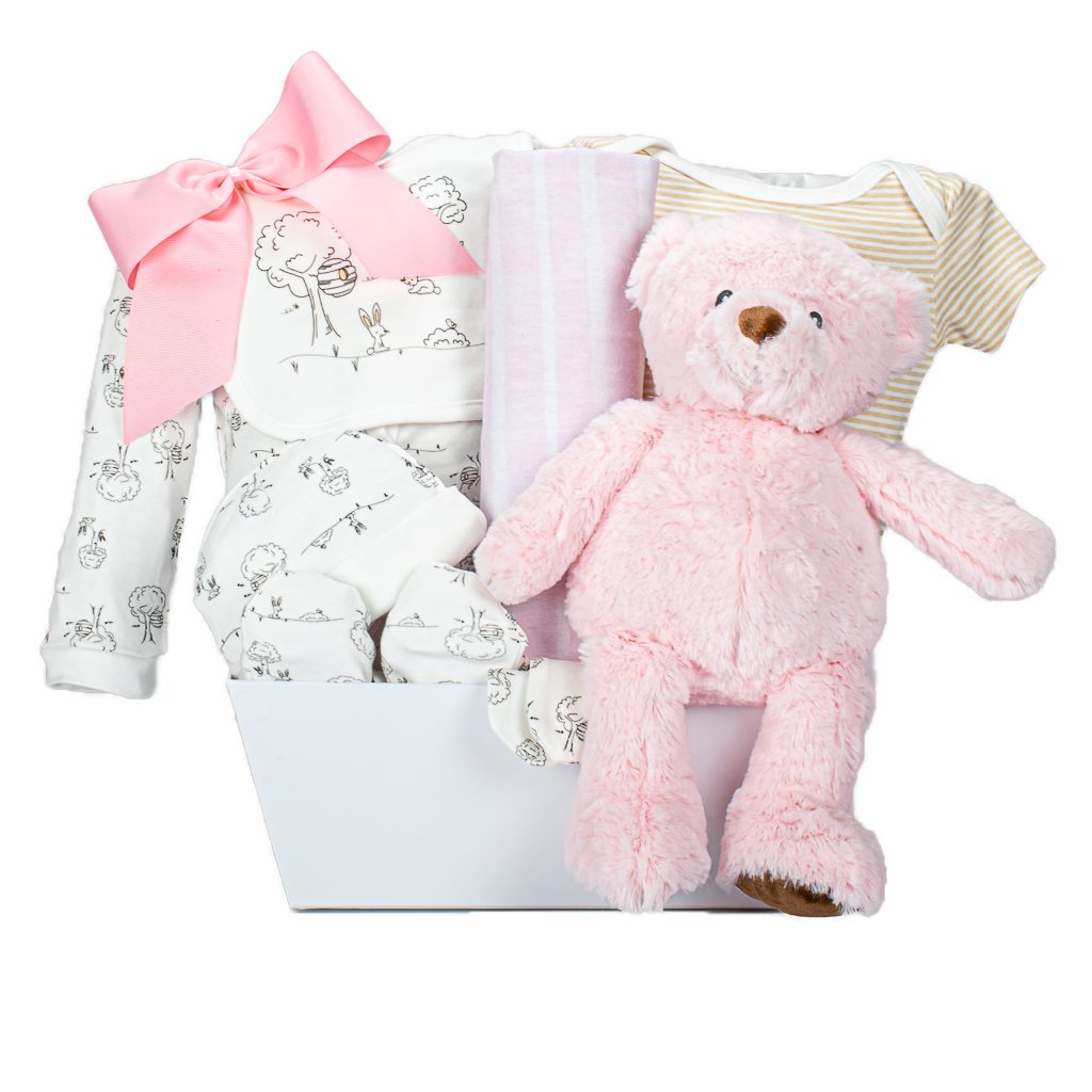 Baby Gift Gift With Teddy And Onesie