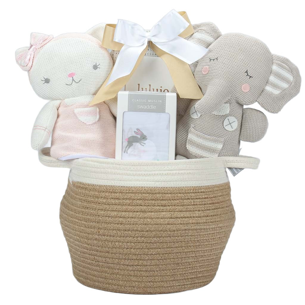 Luxury Twins Baby Basket