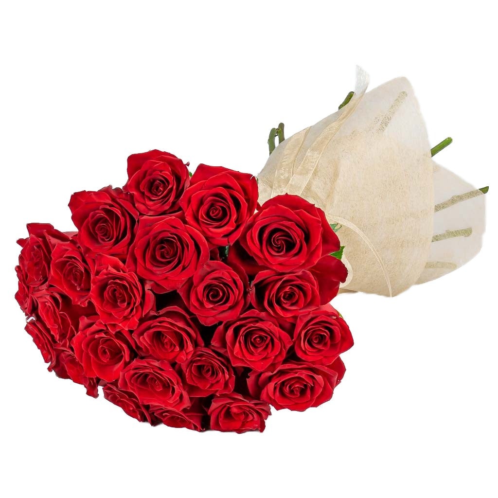 24 Special Red Roses For Delivery 