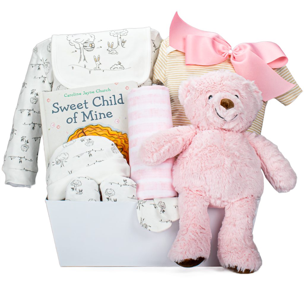 Baby Pink Teddy With Book And Blanket