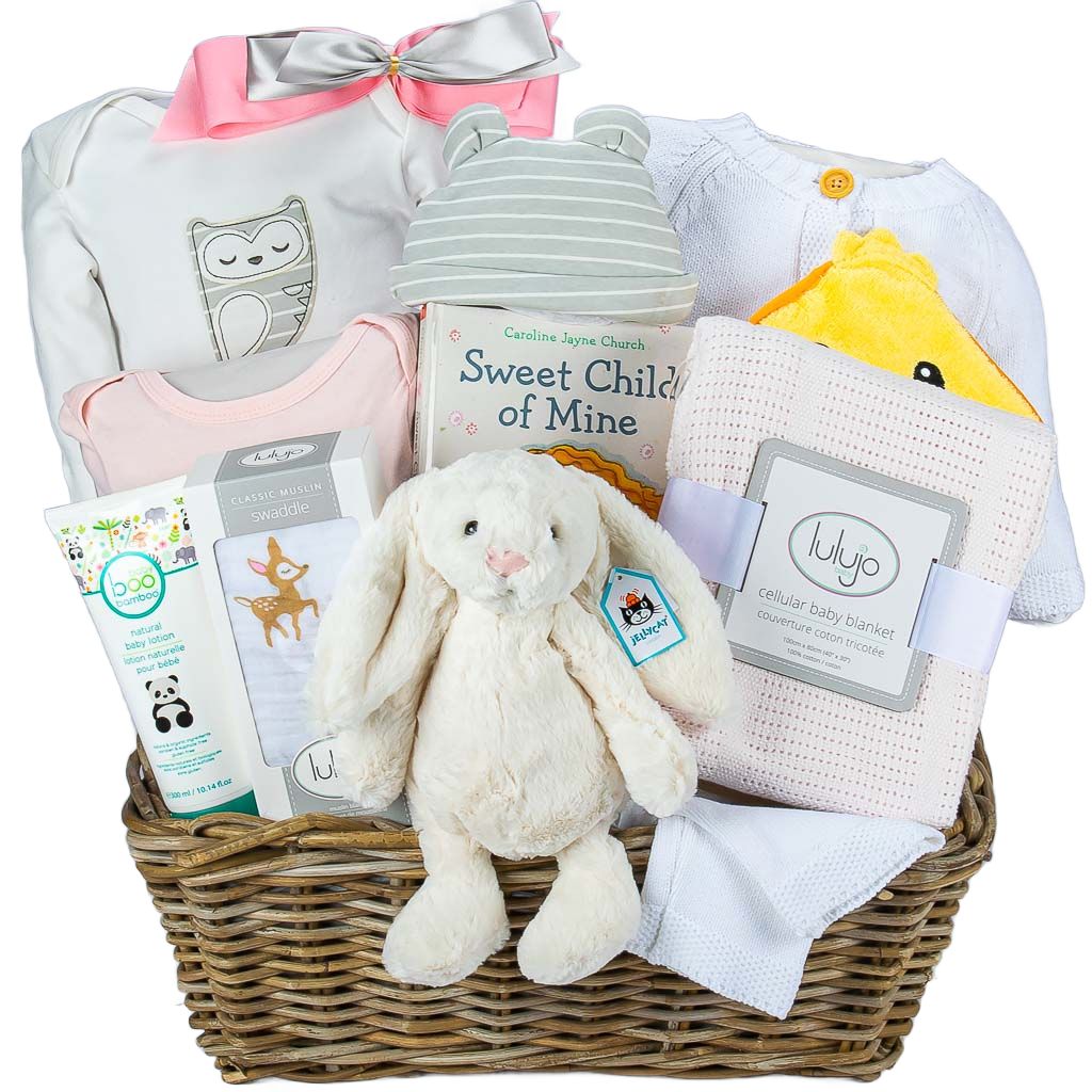 Luxury Baby Girl Gift Basket with Free Delivery Toronto