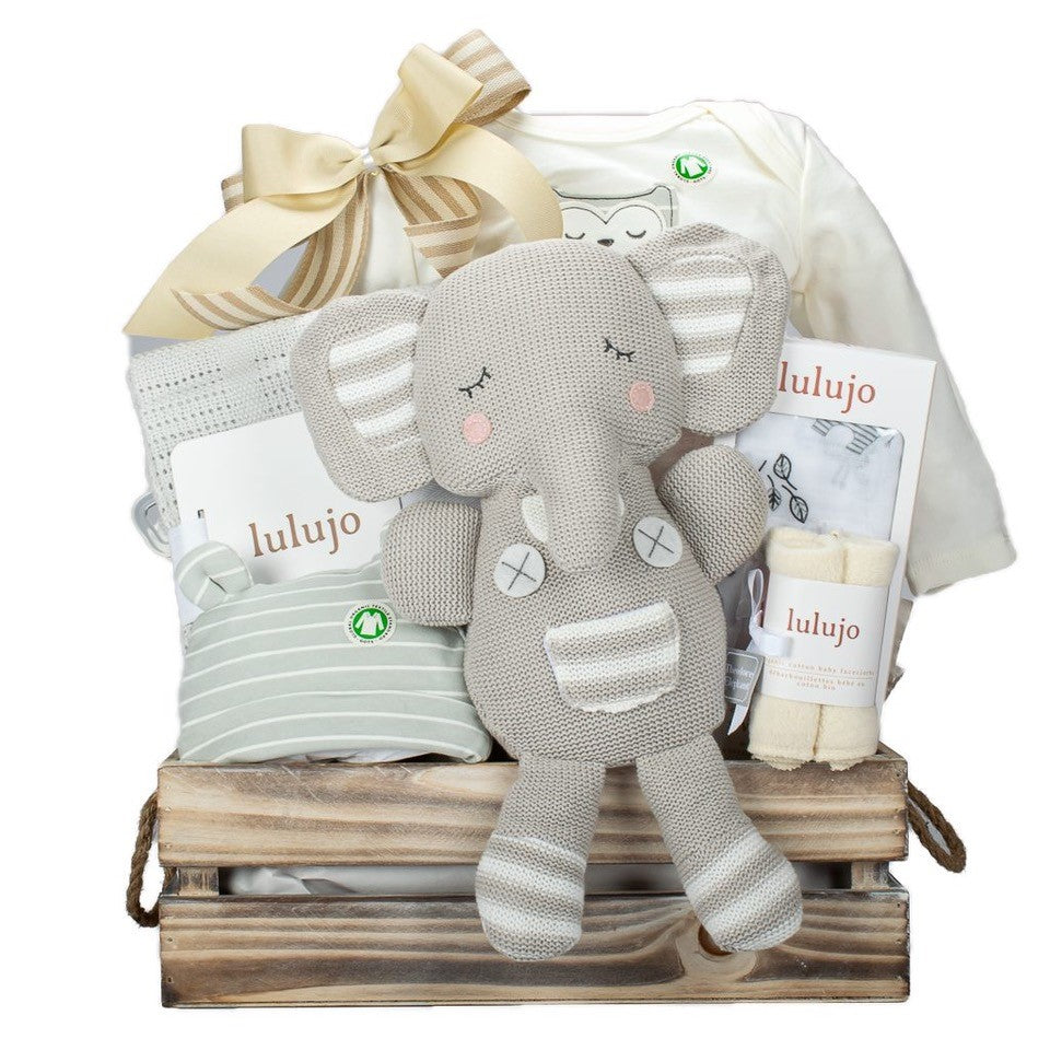 Elephant Plush With Organic Onesie And Hat
