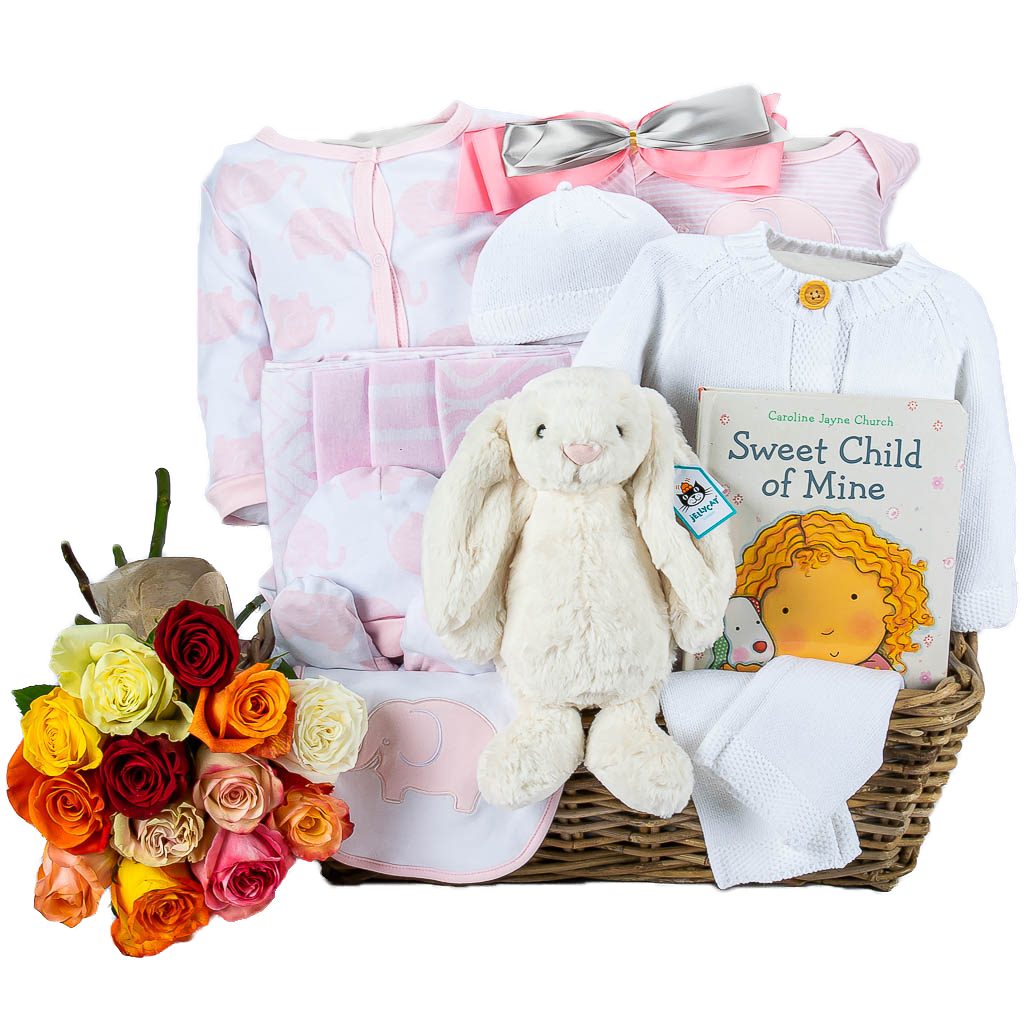Precious Baby Girl Gift Basket With Dozen Roses