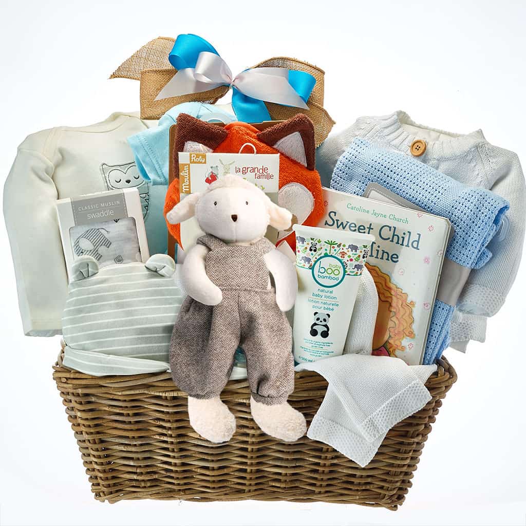 Baby Boy Luxury Gift Basket