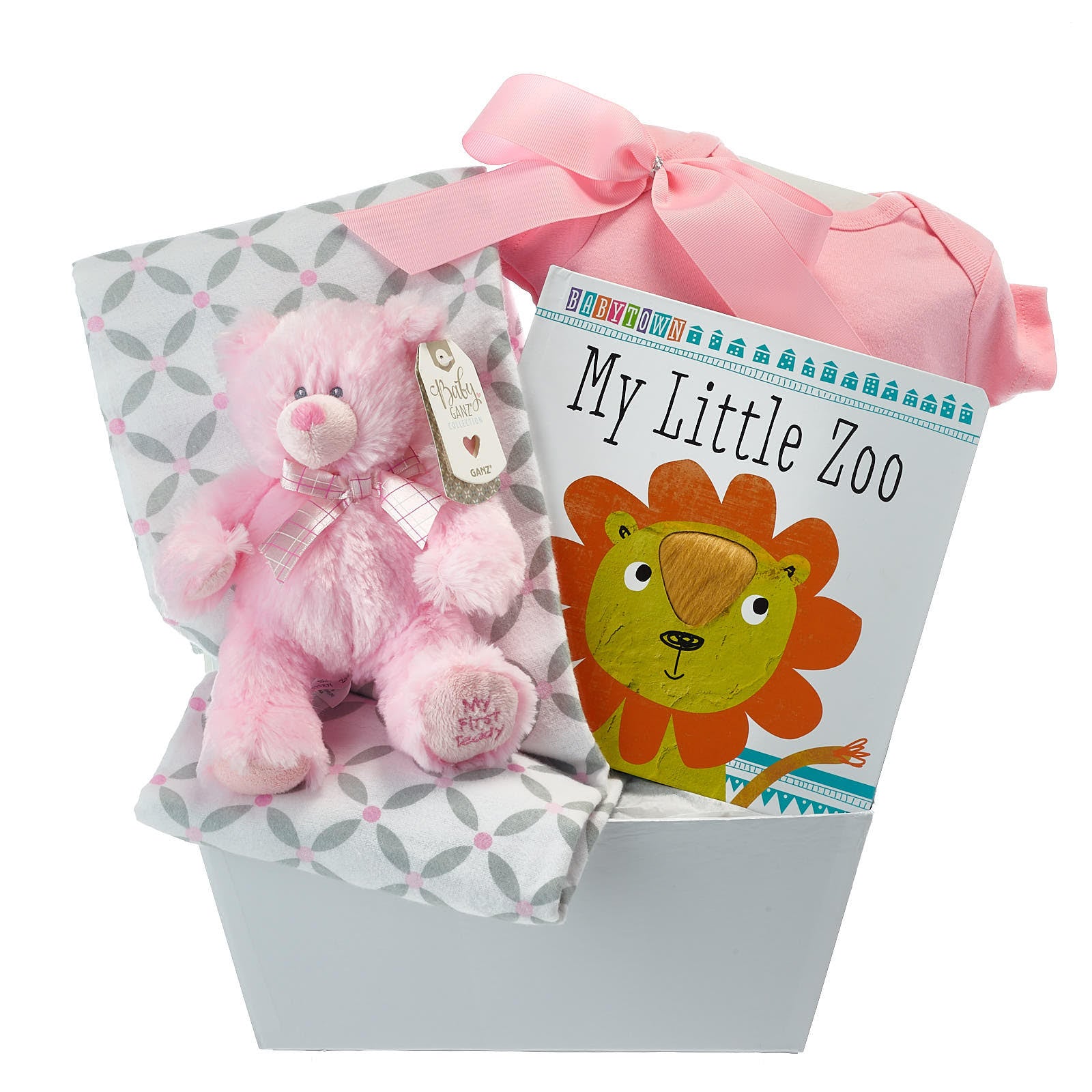 Teddy Bear Baby Girl Gift