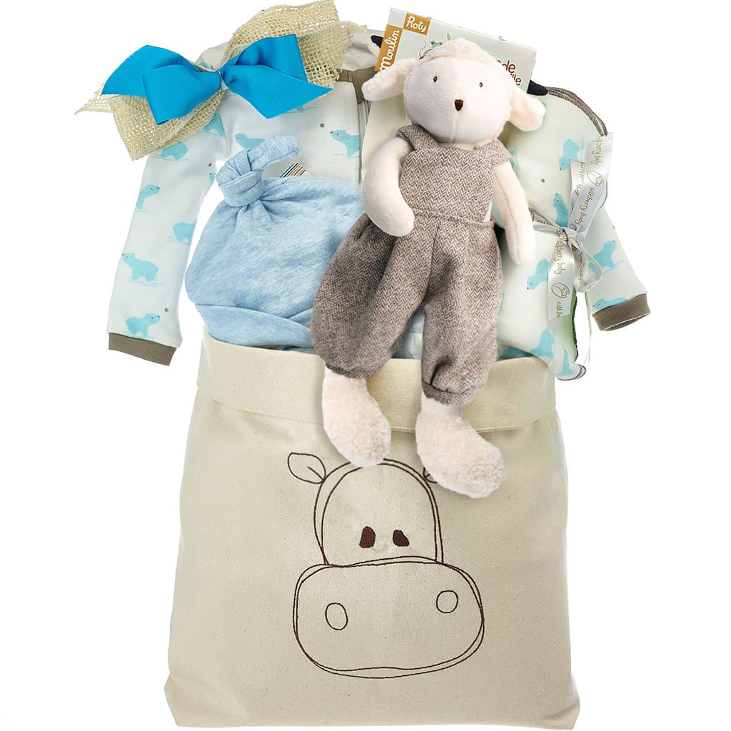 Baby Boy Organic Gift Basket