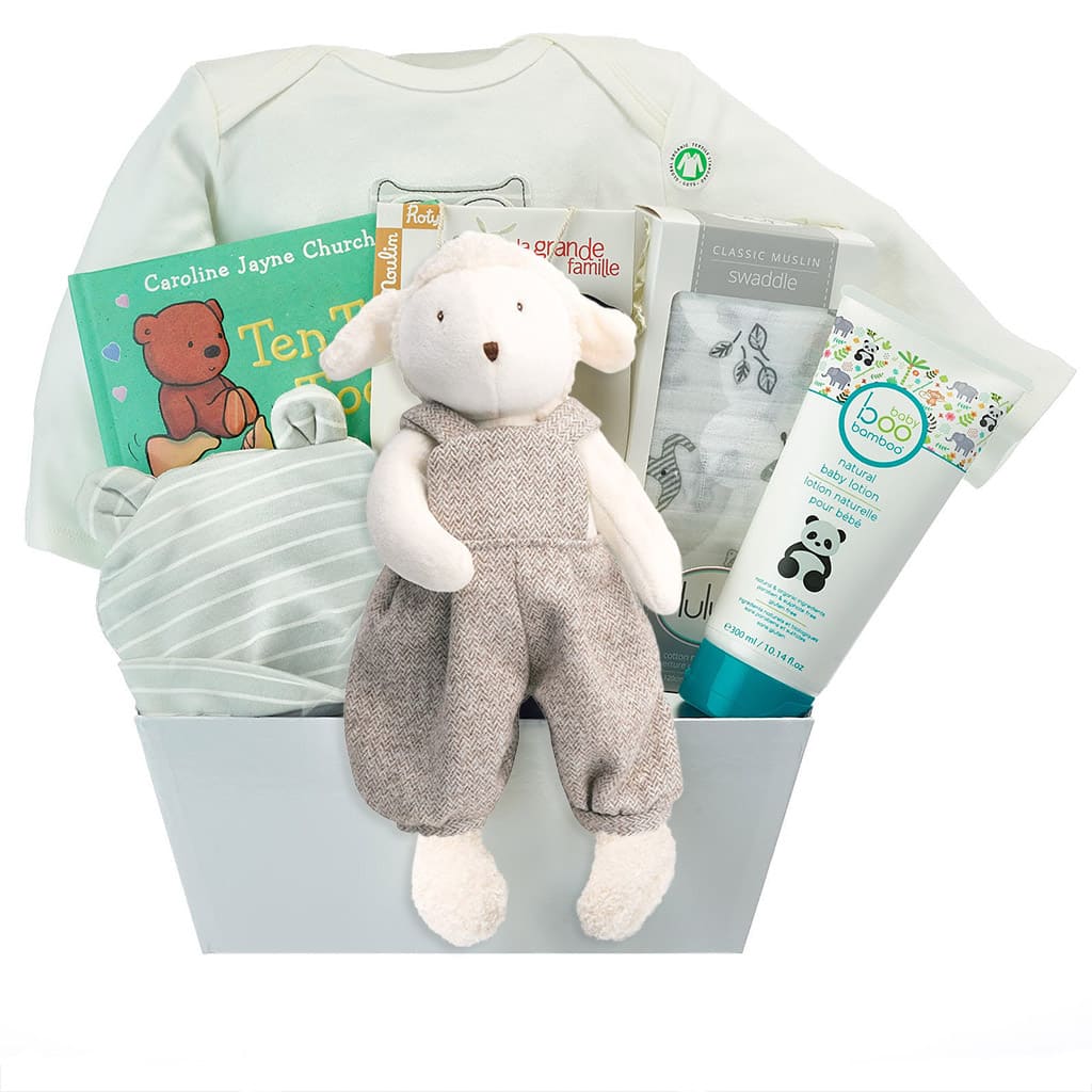 Baby Boy Premium Gift Basket