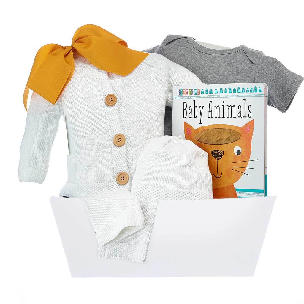 Baby Neutral Gift Basket